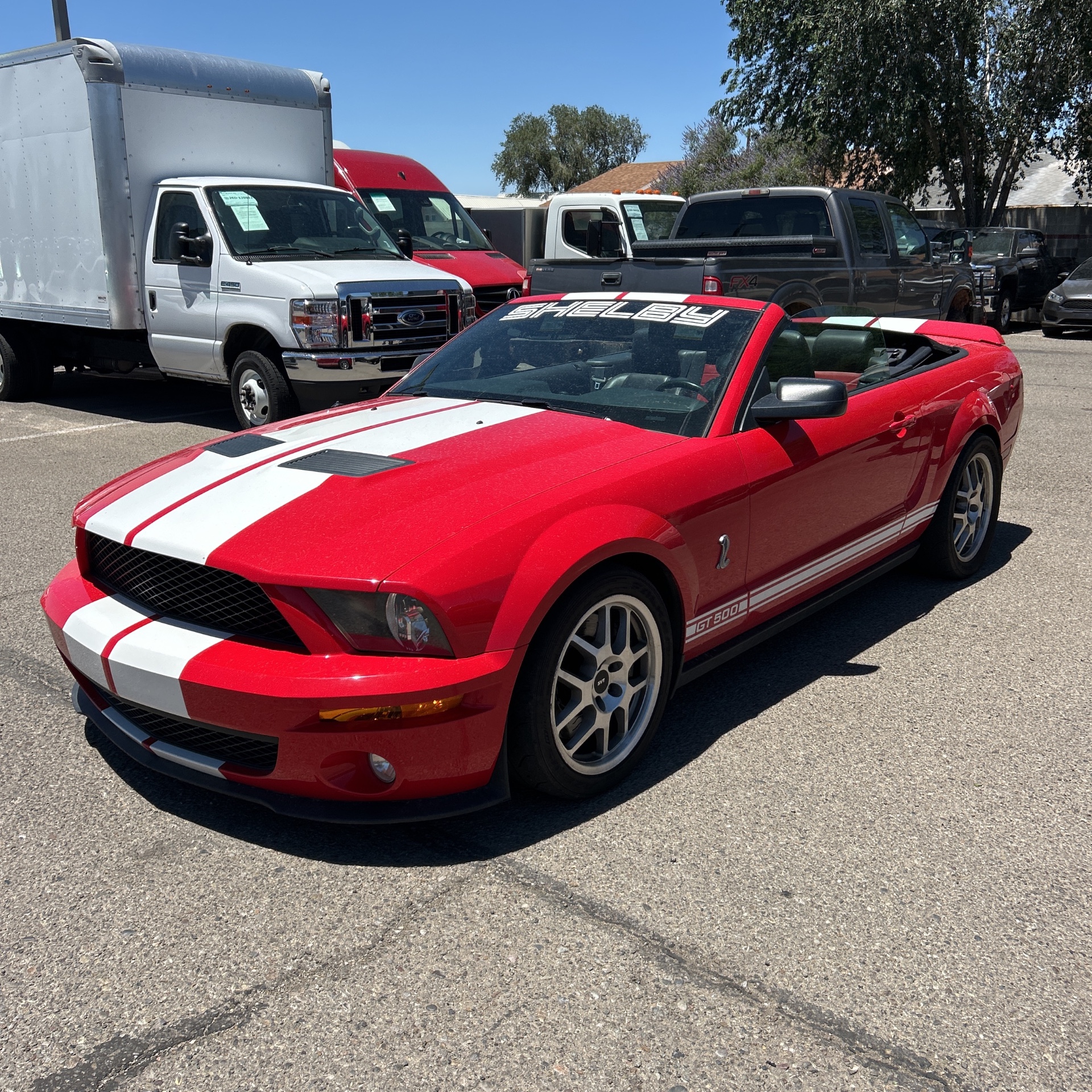 2008 Ford Mustang Shelby GT500's photo