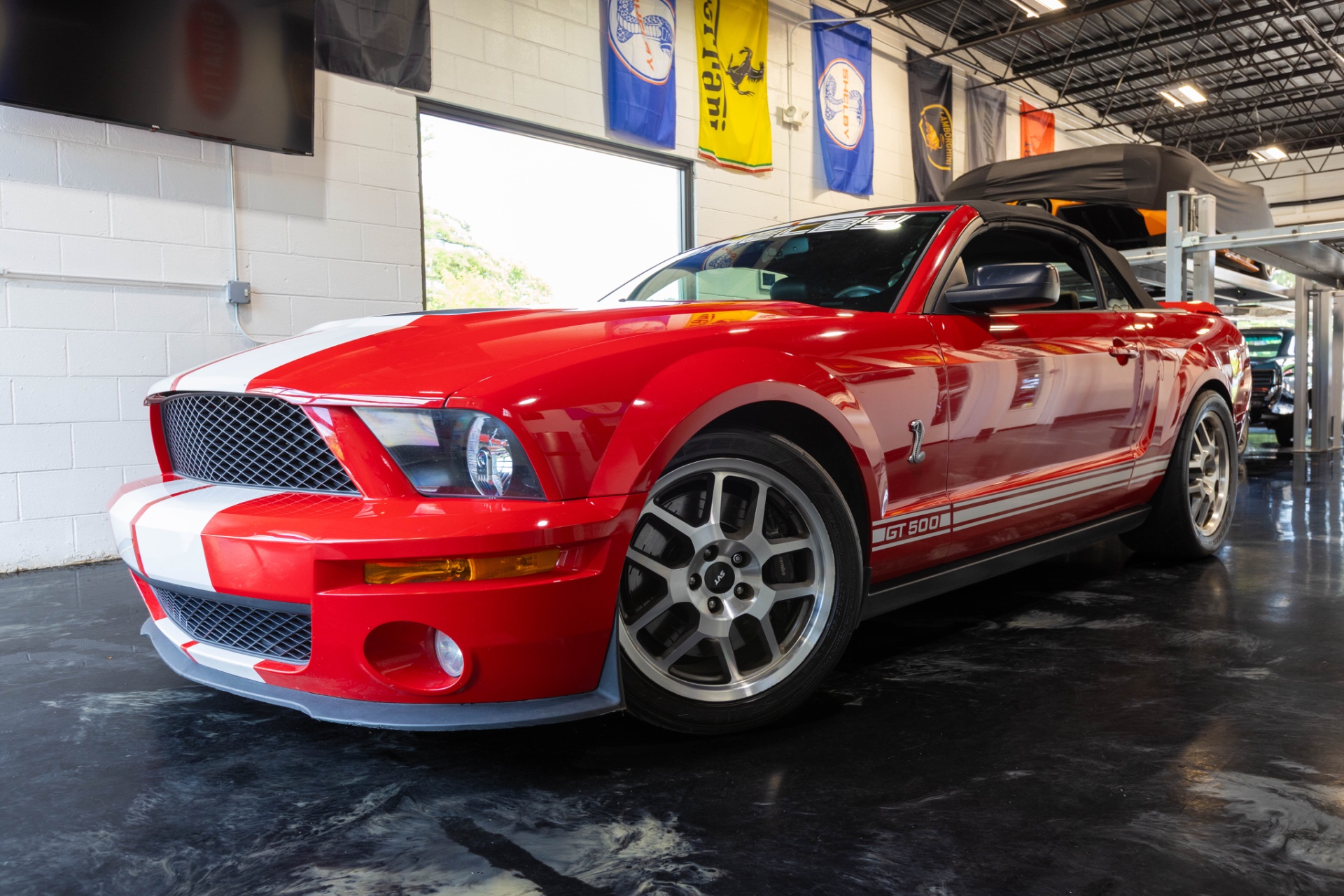 2008 Ford Mustang Shelby GT500's photo