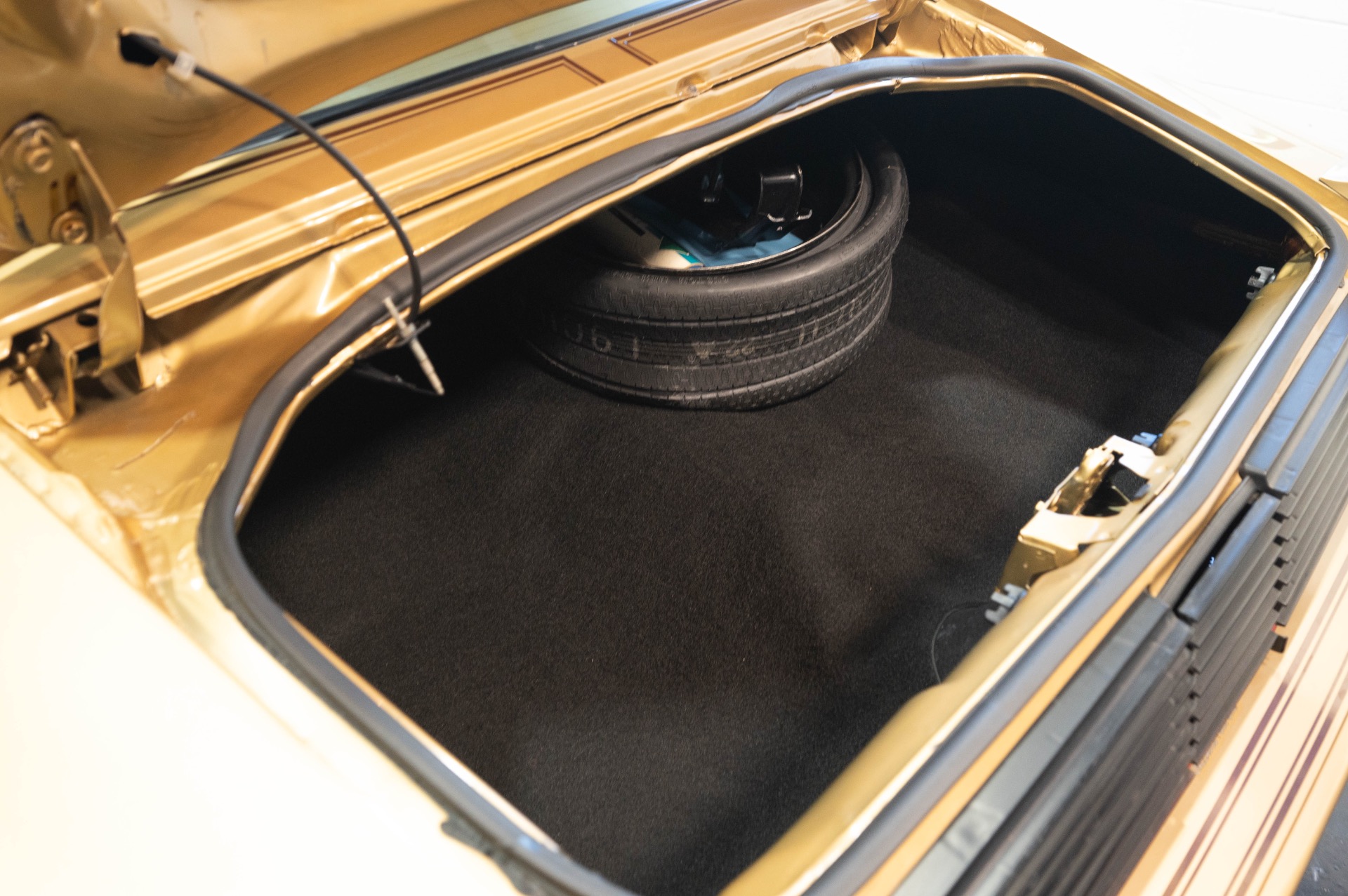 1979 PONTIAC TRANS AM - Image 100