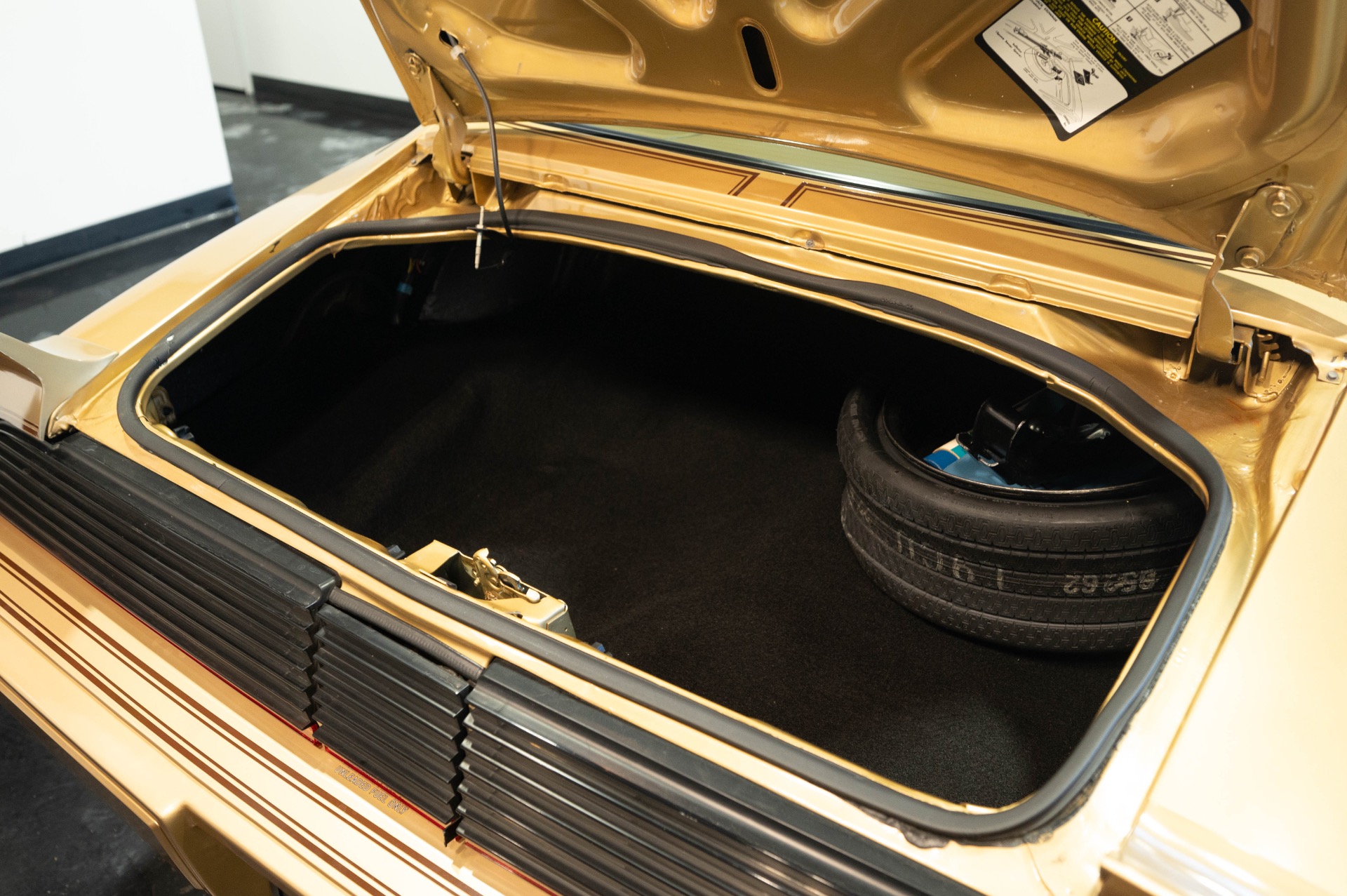 1979 PONTIAC TRANS AM - Image 102