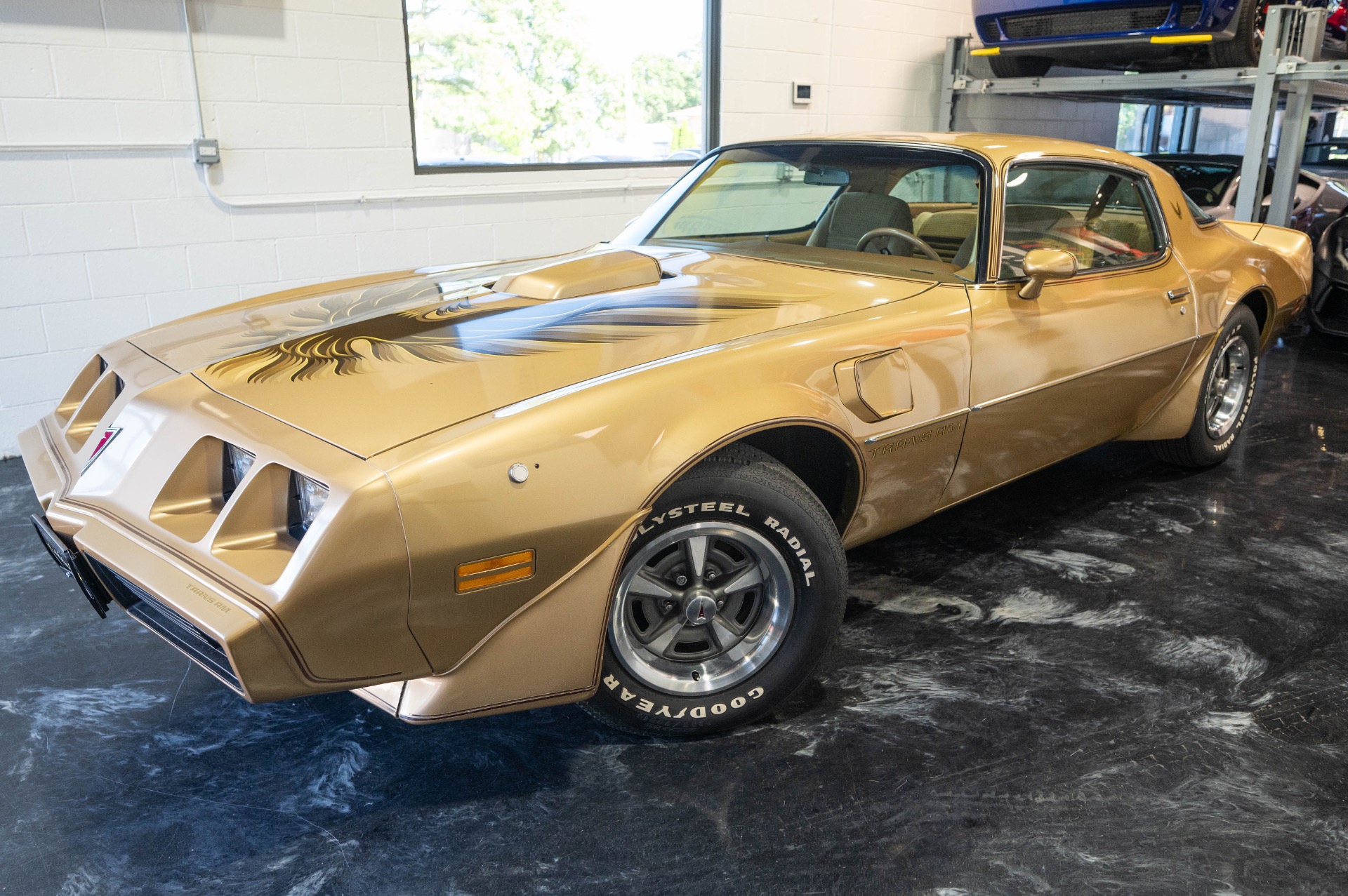 1979 PONTIAC TRANS AM - Image 2