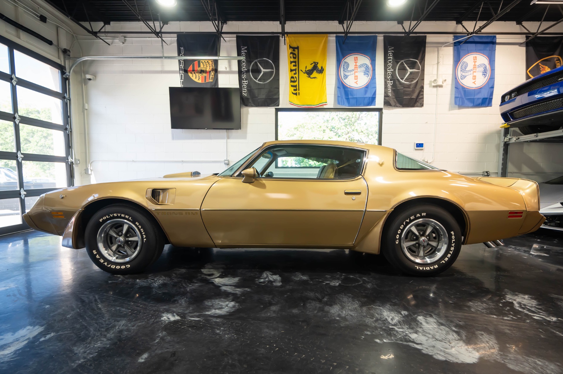 1979 PONTIAC TRANS AM - Image 6