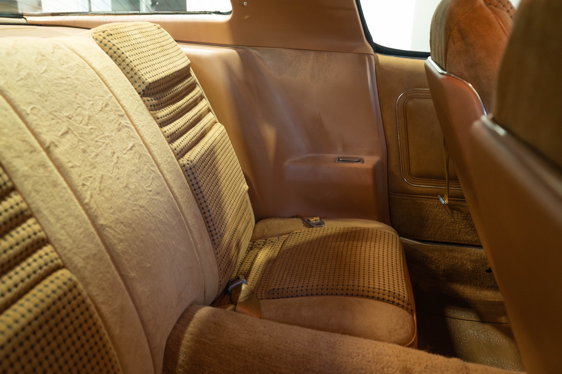 1979 PONTIAC TRANS AM - Image 89