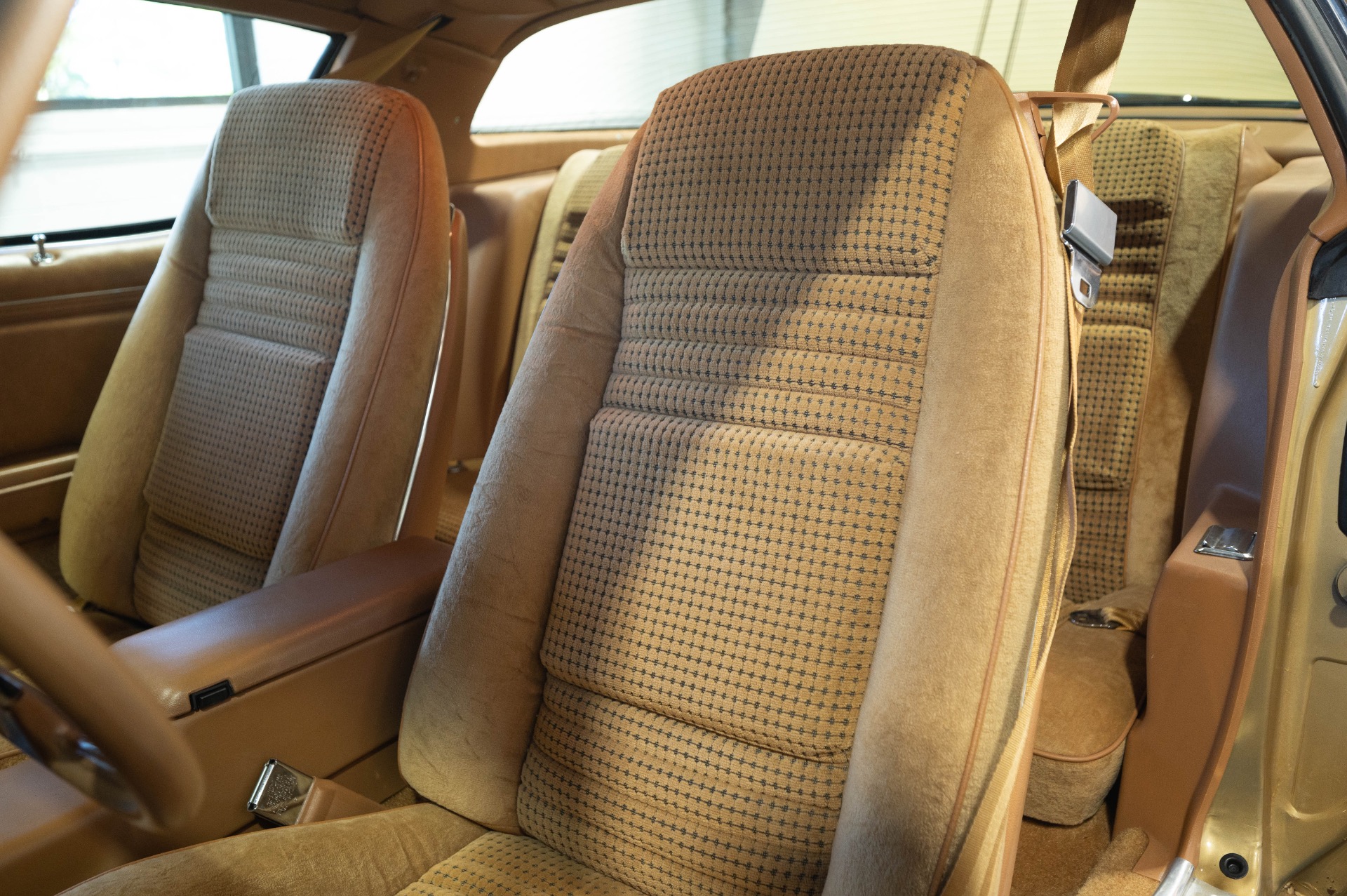 1979 PONTIAC TRANS AM - Image 98